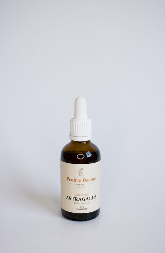 Our organic Astragalus herbal tincture is made using organic, sustainably sourced Astragalus root. Astragalus is known for its powerful adaptogenic and immune supporting properties.