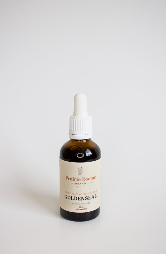 Our ethically wildcrafted Goldenseal herbal tincture is crafted using sustainably and ethically sourced Goldenseal root. Goldenseal is known for being a source of berberine, and for its ability to help relieve inflammatory conditions and infections of the digestive tract. 