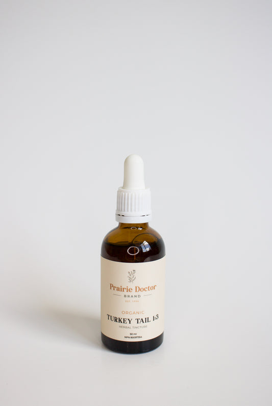 Our organic Turkey Tail mushroom tincture is crafted using organic, sustainably sourced Turkey Tail mushroom fruiting bodies. Turkey Tail is known for its powerful immune modulating properties as well as for being an anti-inflammatory and prebiotic. 