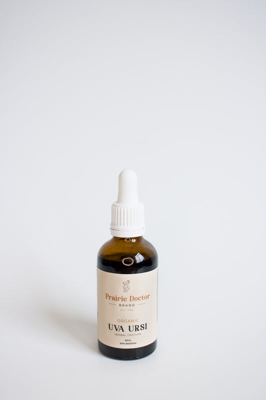 Our organic Uva Ursi herbal tincture can be used for the treatment of early signs of mild urinary tract infection such as burning sensation during urination and/or frequent urination.