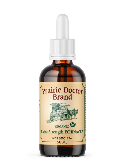Our organic ﻿extra strength Echinacea tincture acts as a supportive therapy in the treatment of colds, flus and infections, upper respiratory infections and urinary infections.
